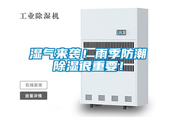 濕氣來襲！雨季防潮除濕很重要！