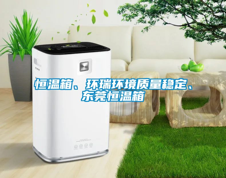 恒溫箱、環瑞環境質量穩定、東莞恒溫箱