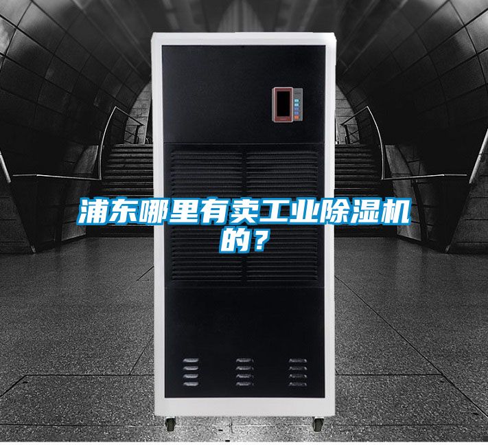 浦東哪里有賣工業除濕機的？
