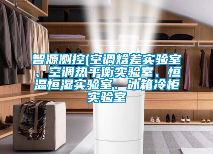 智源測控(空調(diào)焓差實驗室、空調(diào)熱平衡實驗室、恒溫恒濕實驗室、冰箱冷柜實驗室