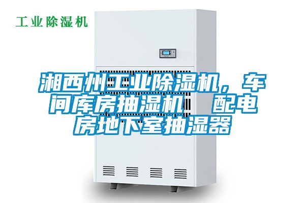 湘西州工業(yè)除濕機(jī)，車間庫(kù)房抽濕機(jī)  配電房地下室抽濕器