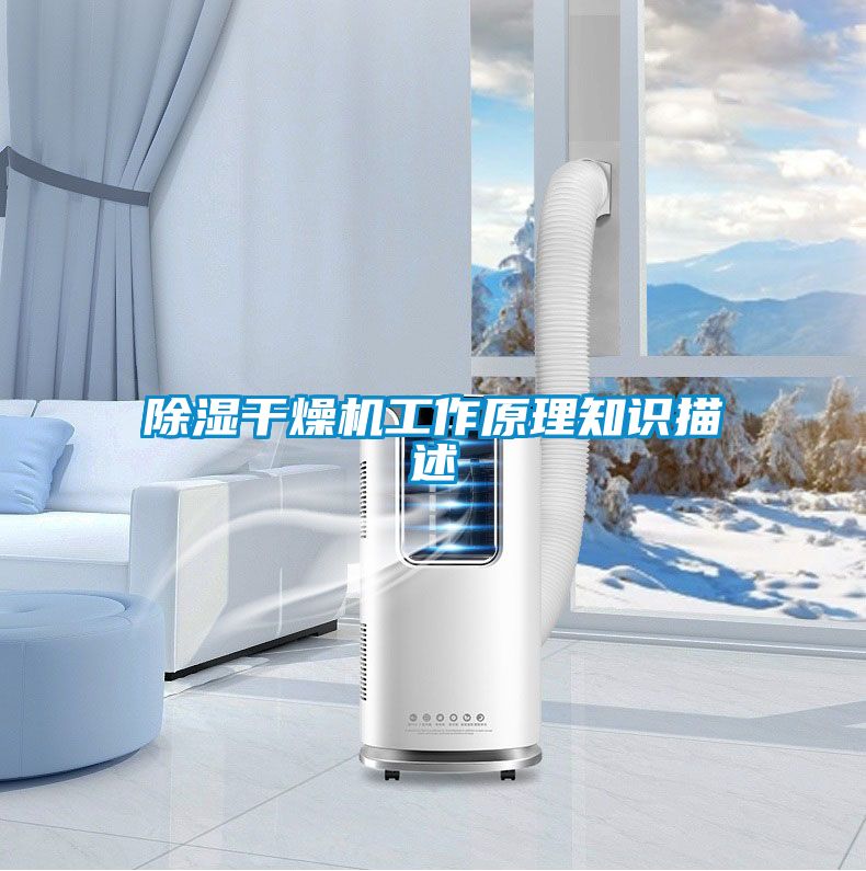 除濕干燥機工作原理知識描述