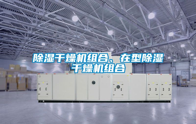 除濕干燥機(jī)組合、在型除濕干燥機(jī)組合