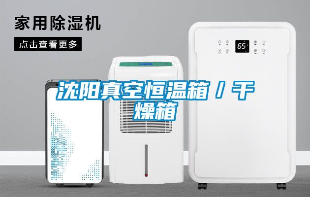 沈陽(yáng)真空恒溫箱／干燥箱
