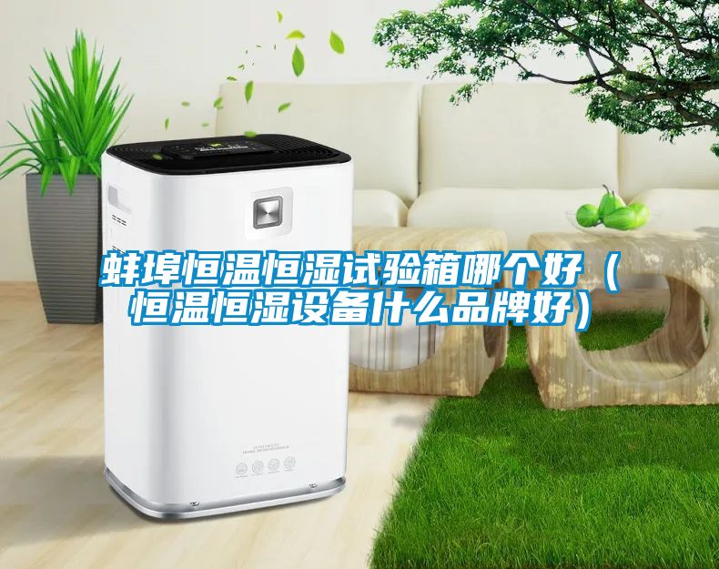 蚌埠恒溫恒濕試驗箱哪個好（恒溫恒濕設(shè)備什么品牌好）