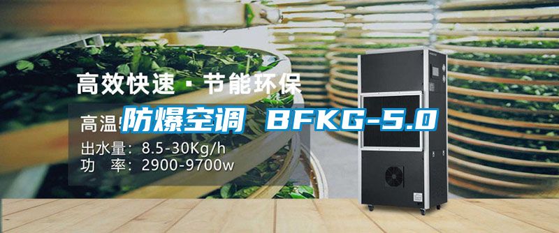 防爆空調 BFKG-5.0