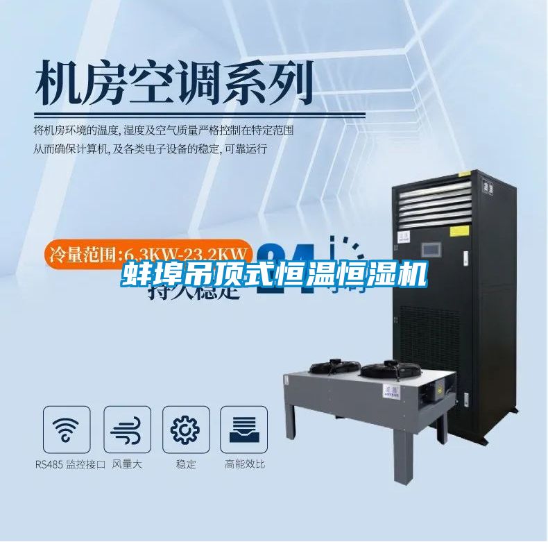 蚌埠吊頂式恒溫恒濕機