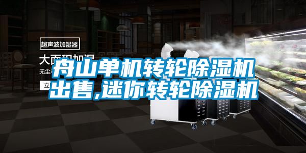 舟山單機轉輪除濕機出售,迷你轉輪除濕機