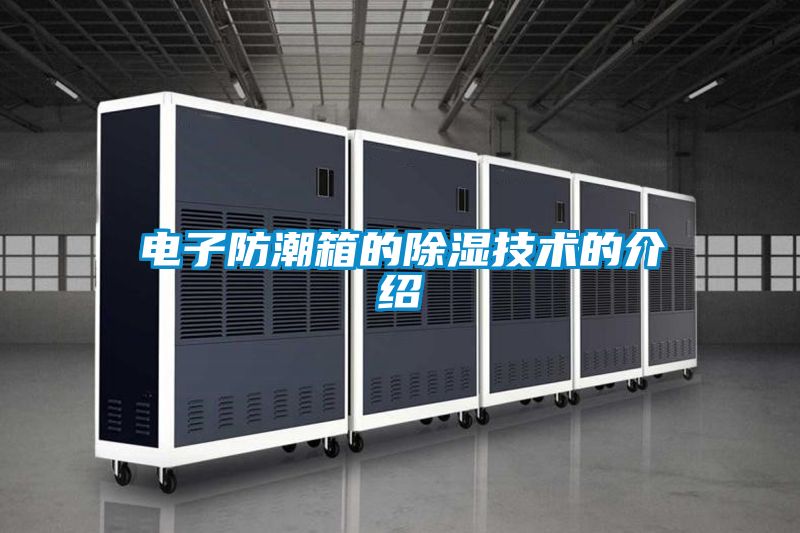 電子防潮箱的除濕技術的介紹