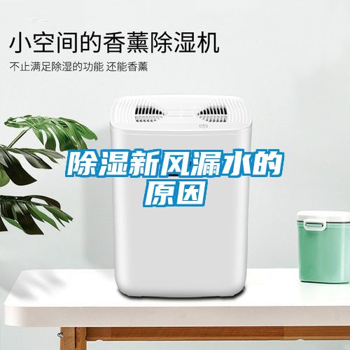 除濕新風漏水的原因