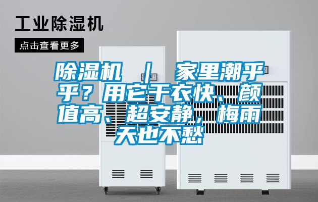 除濕機 ｜ 家里潮乎乎？用它干衣快、顏值高、超安靜，梅雨天也不愁