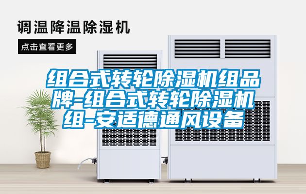 組合式轉輪除濕機組品牌-組合式轉輪除濕機組-安適德通風設備