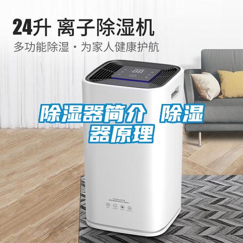 除濕器簡(jiǎn)介 除濕器原理