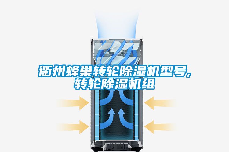 衢州蜂巢轉輪除濕機型號,轉輪除濕機組