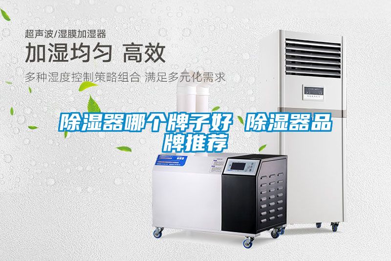 除濕器哪個(gè)牌子好 除濕器品牌推薦