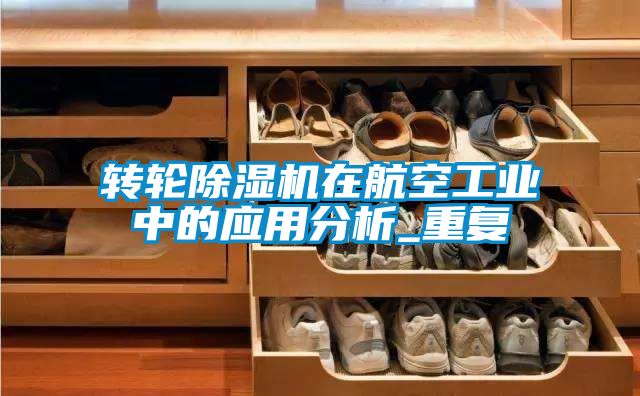 轉輪除濕機在航空工業中的應用分析_重復