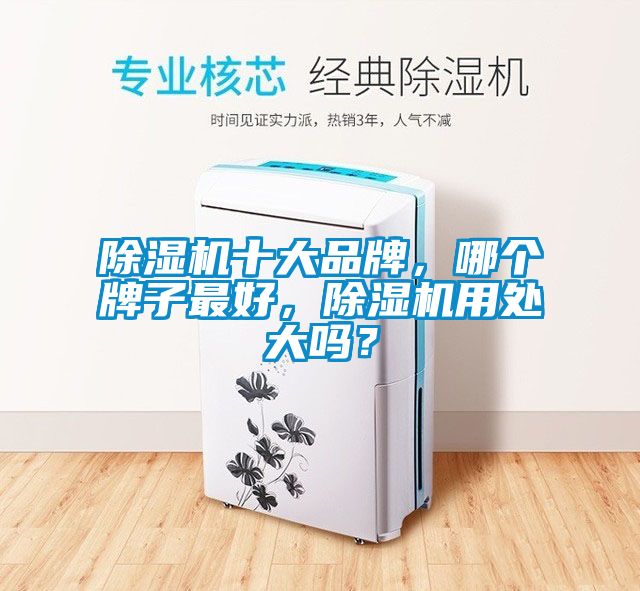 除濕機十大品牌，哪個牌子最好，除濕機用處大嗎？