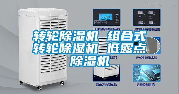 轉(zhuǎn)輪除濕機 組合式轉(zhuǎn)輪除濕機 低露點除濕機