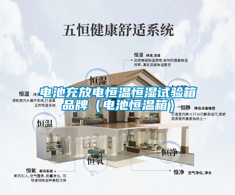 電池充放電恒溫恒濕試驗(yàn)箱品牌（電池恒溫箱）