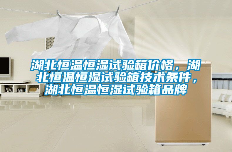 湖北恒溫恒濕試驗箱價格，湖北恒溫恒濕試驗箱技術條件，湖北恒溫恒濕試驗箱品牌