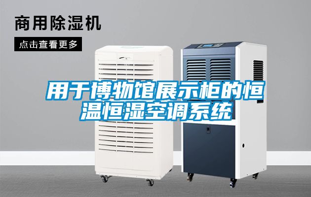 用于博物館展示柜的恒溫恒濕空調系統