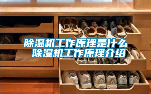 除濕機工作原理是什么 除濕機工作原理介紹