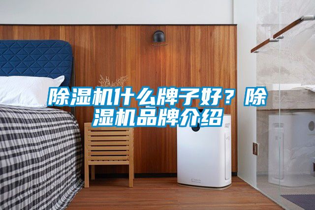 除濕機什么牌子好？除濕機品牌介紹