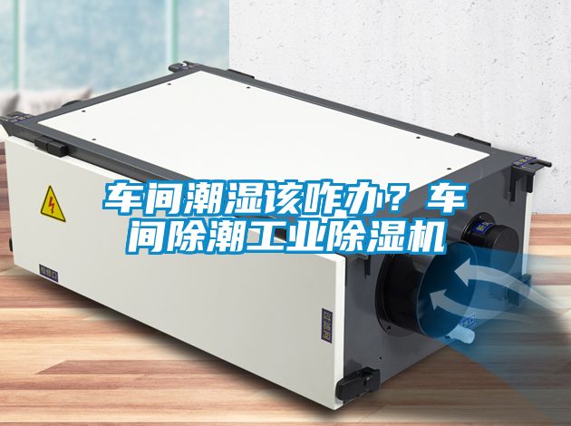 車間潮濕該咋辦？車間除潮工業(yè)除濕機