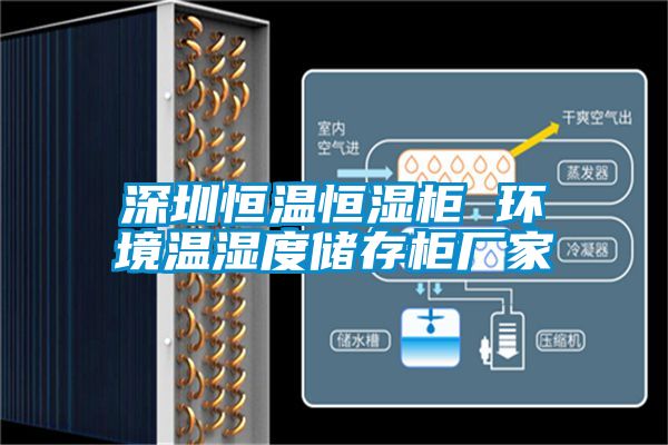 深圳恒溫恒濕柜 環境溫濕度儲存柜廠家