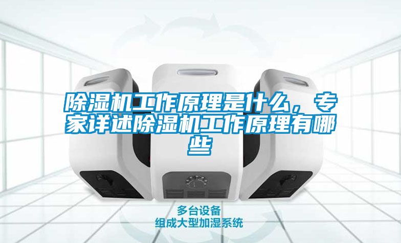 除濕機工作原理是什么，專家詳述除濕機工作原理有哪些