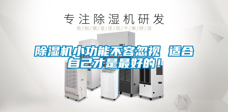 除濕機小功能不容忽視 適合自己才是最好的！