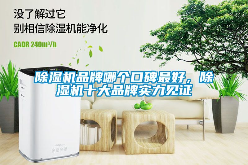 除濕機品牌哪個口碑最好，除濕機十大品牌實力見證