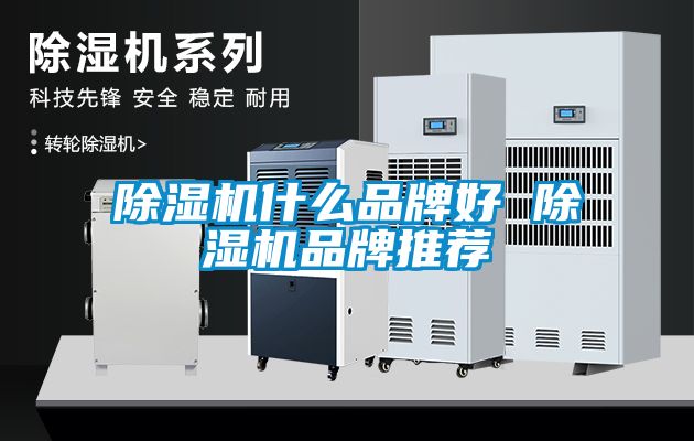 除濕機什么品牌好 除濕機品牌推薦