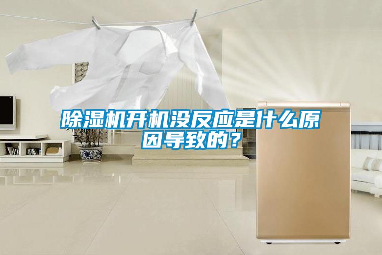 除濕機開機沒反應是什么原因導致的？