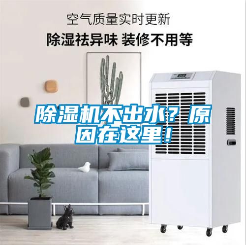 除濕機不出水？原因在這里！