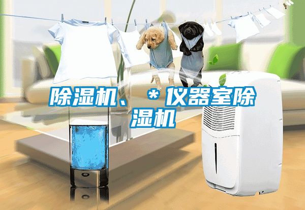 除濕機、＊儀器室除濕機