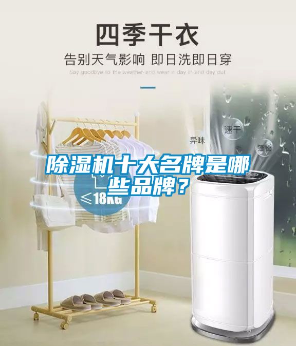 除濕機(jī)十大名牌是哪些品牌？