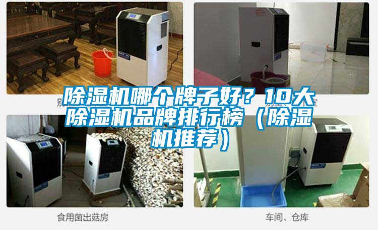 除濕機(jī)哪個(gè)牌子好？10大除濕機(jī)品牌排行榜（除濕機(jī)推薦）