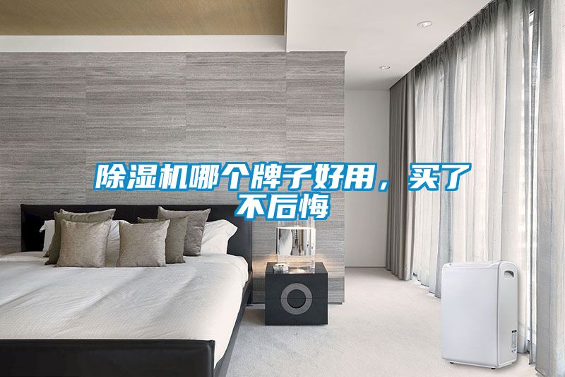 除濕機哪個牌子好用，買了不后悔