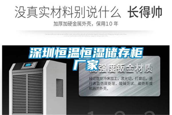 深圳恒溫恒濕儲存柜廠家