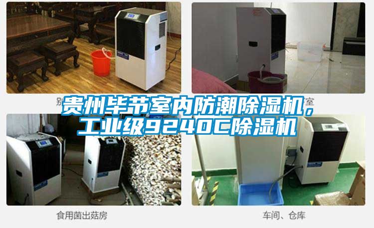 貴州畢節室內防潮除濕機，工業級9240C除濕機