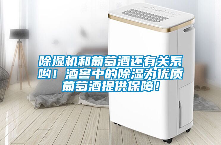 除濕機和葡萄酒還有關系喲！酒窖中的除濕為優質葡萄酒提供保障！