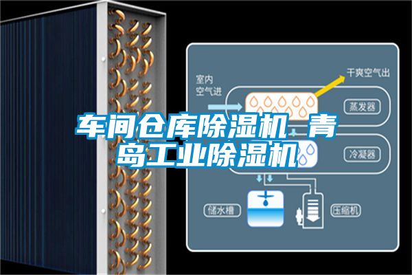 車間倉庫除濕機 青島工業除濕機