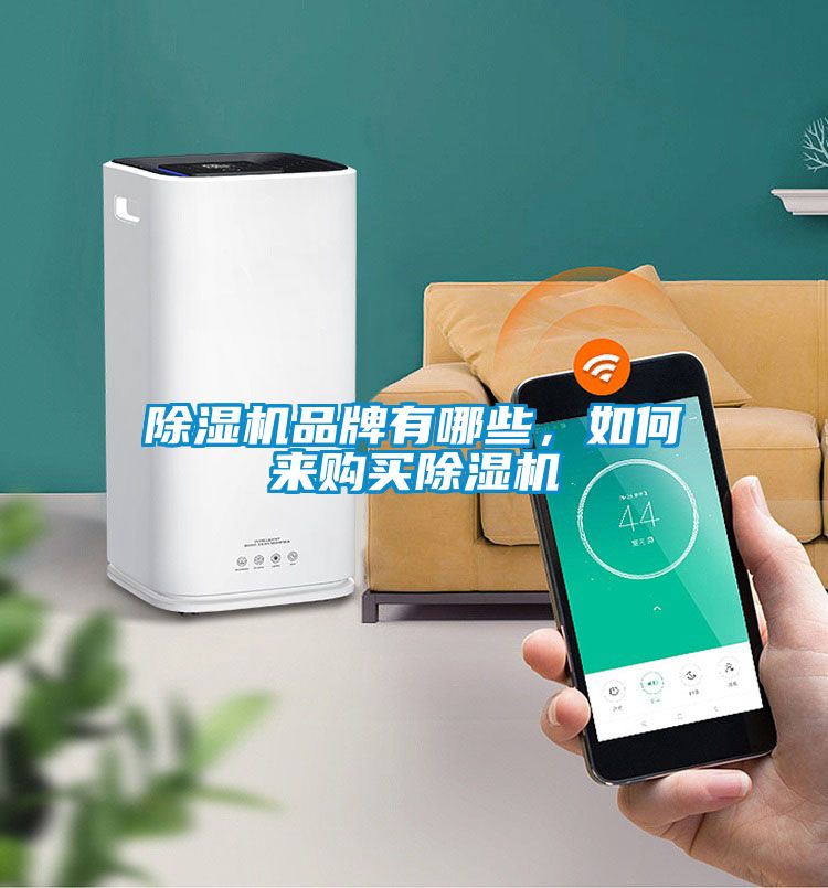 除濕機(jī)品牌有哪些，如何來(lái)購(gòu)買除濕機(jī)