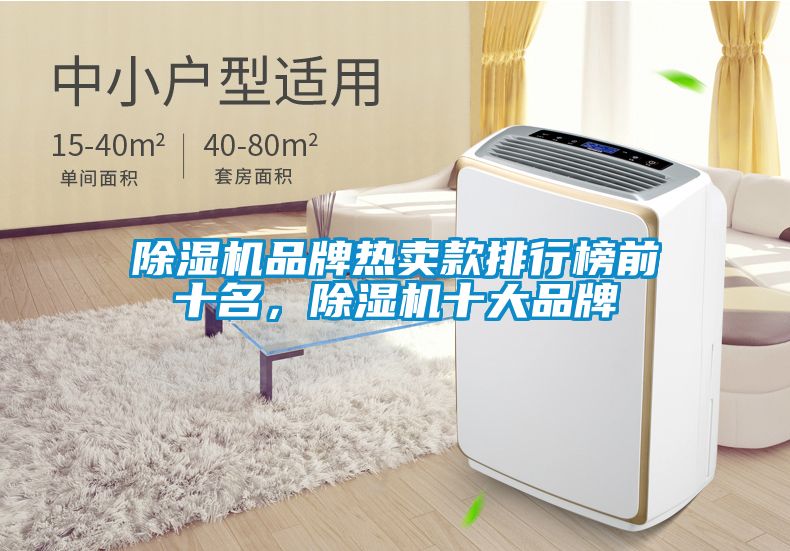 除濕機(jī)品牌熱賣款排行榜前十名，除濕機(jī)十大品牌