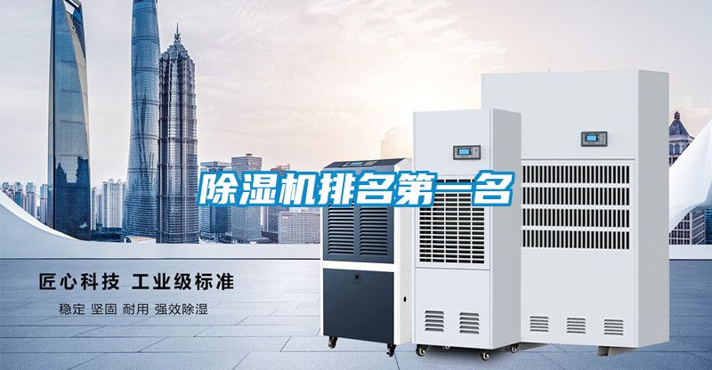 除濕機排名第一名