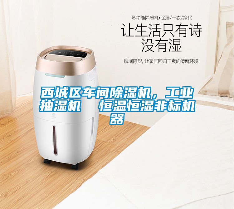 西城區車間除濕機，工業抽濕機  恒溫恒濕非標機器