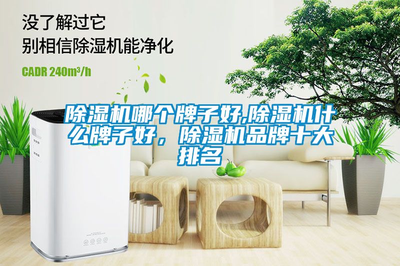 除濕機哪個牌子好,除濕機什么牌子好，除濕機品牌十大排名