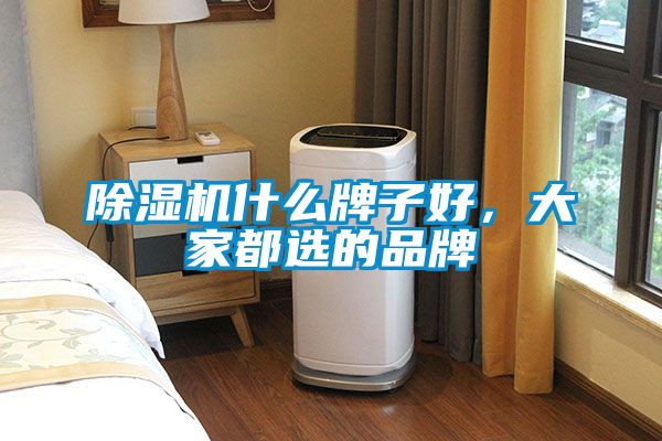 除濕機(jī)什么牌子好，大家都選的品牌