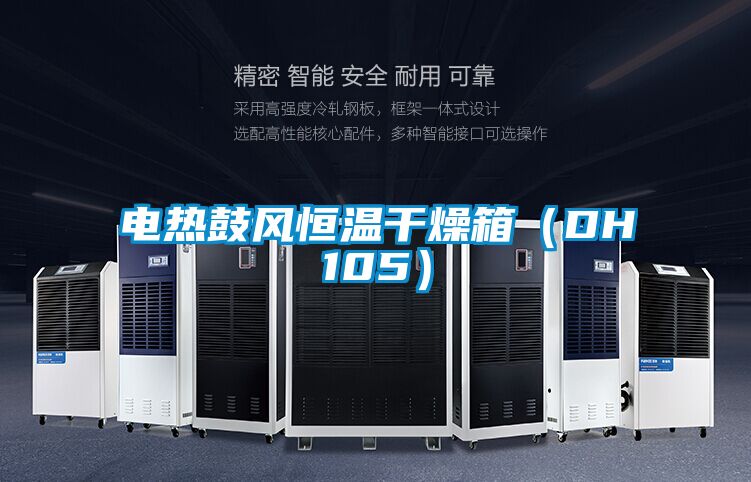 電熱鼓風(fēng)恒溫干燥箱（DH105）